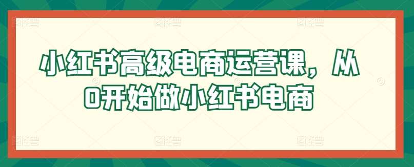 小红书高级电商运营课，从0开始做小红书电商-云深网创社