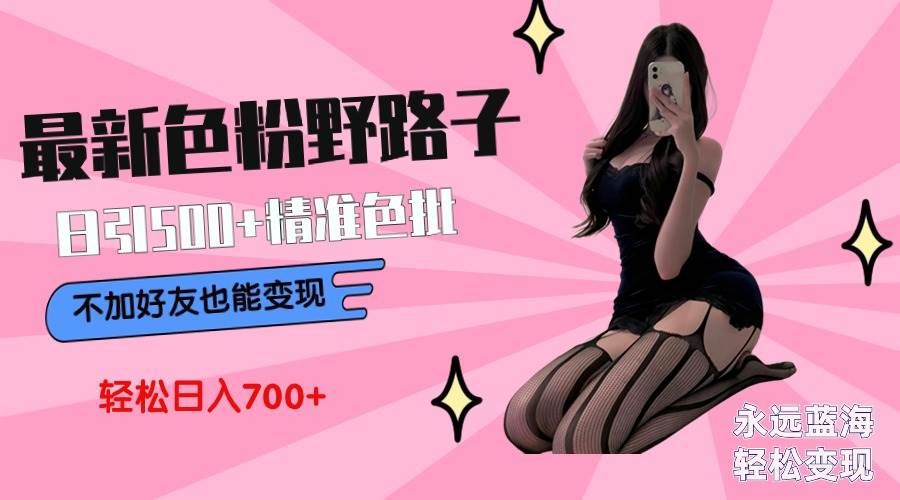 （9119期）最新色粉变现野路子，日引500+老色批 可不加好友直接变现 小白轻松日入700+-云深网创社