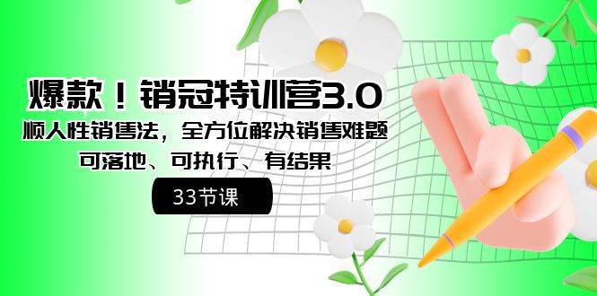 （8573期）爆款！销冠特训营3.0之顺人性销售法，全方位解决销售难题、可落地、可执…-云深网创社