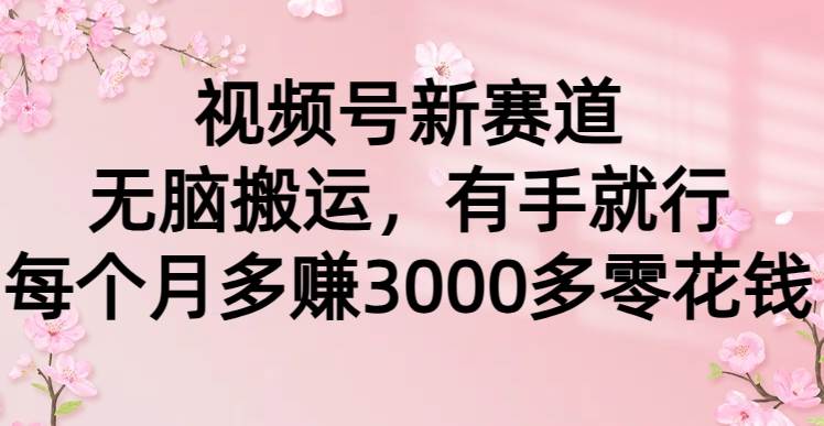 （9278期）视频号新赛道，无脑搬运，有手就行，每个月多赚3000多零花钱-云深网创社