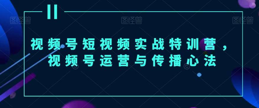 视频号短视频实战特训营，视频号运营与传播心法-云深网创社