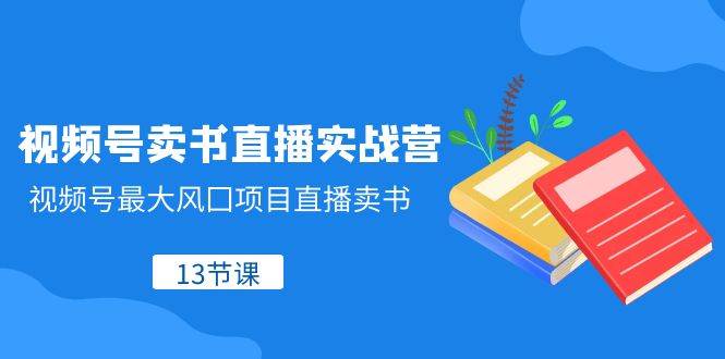 （8080期）视频号-卖书直播实战营，视频号最大风囗项目直播卖书（13节课）-云深网创社