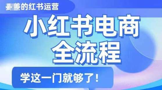 小红书电商全流程，精简易懂，从入门到精通，学这一门就够了-云深网创社