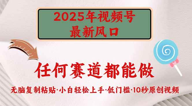 （14453期）2025年视频号新风口，低门槛只需要无脑执行-云深网创社
