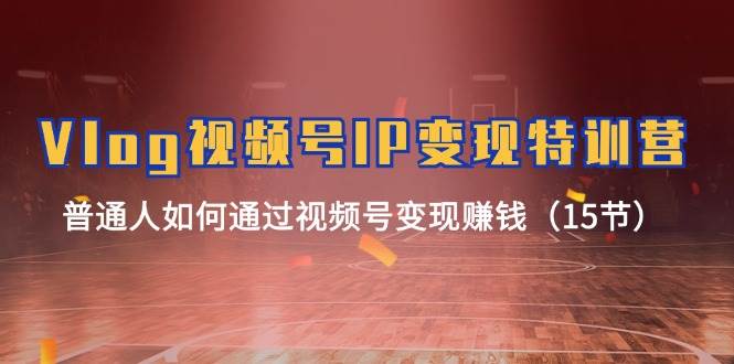 （11654期）Vlog 视频号IP变现特训营，普通人如何通过视频号变现赚钱（15节）-云深网创社