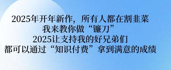 2025年开年新作，所有人都在割韭菜，我来教你做“镰刀” 2025让支持我的好兄弟们都可以通过“知识付费”拿到满意的成绩【揭秘】-云深网创社