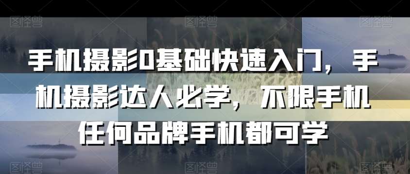 手机摄影0基础快速入门，手机摄影达人必学，不限手机任何品牌手机都可学-云深网创社