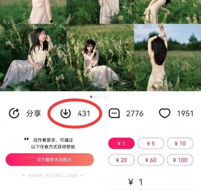 图片[2]-最新图虫搬运项目，收益无上限，利用AI小白也可日赚500+-云深网创社
