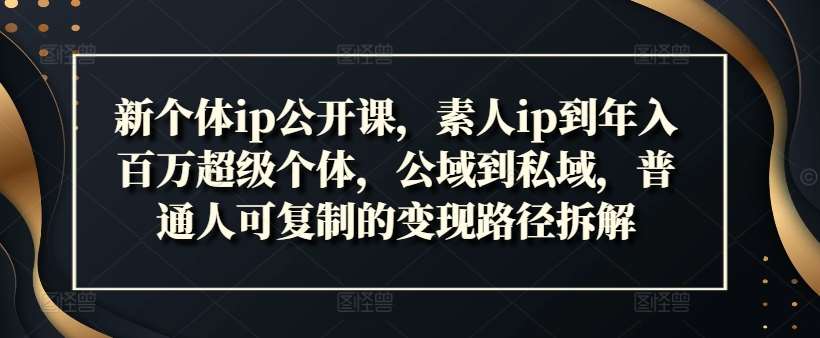 新个体ip公开课，素人ip到年入百万超级个体，公域到私域，普通人可复制的变现路径拆解-云深网创社