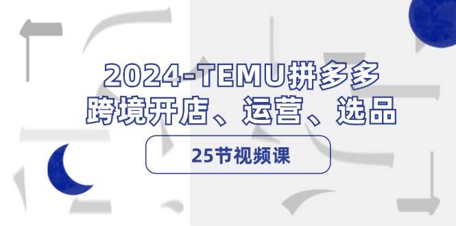 （12106期）2024-TEMU拼多多·跨境开店、运营、选品（25节视频课）-云深网创社