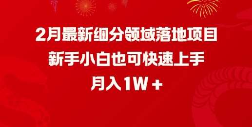 2月最新细分领域落地项目，新手小白也可快速上手，月入1W-云深网创社