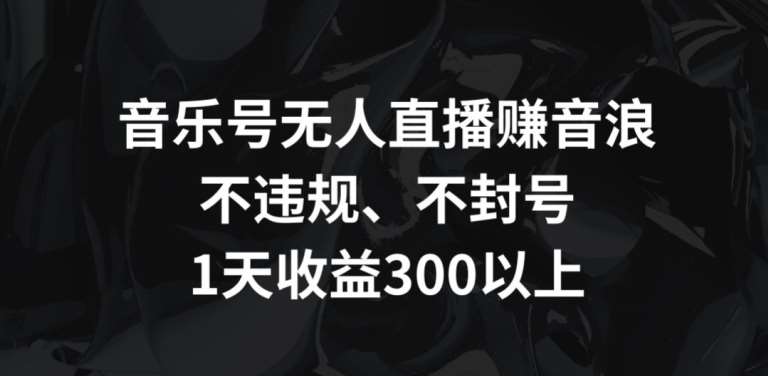 音乐号无人直播赚音浪，不违规、不封号，1天收益300+【揭秘】-云深网创社
