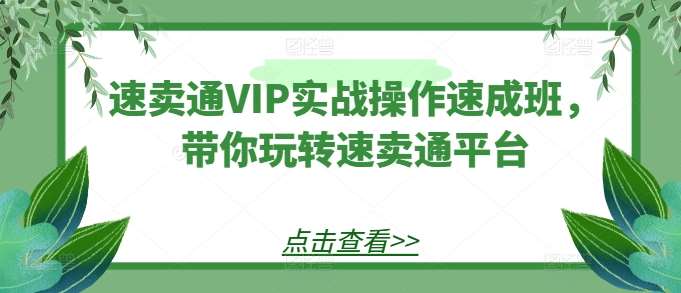 速卖通VIP实战操作速成班，带你玩转速卖通平台-云深网创社