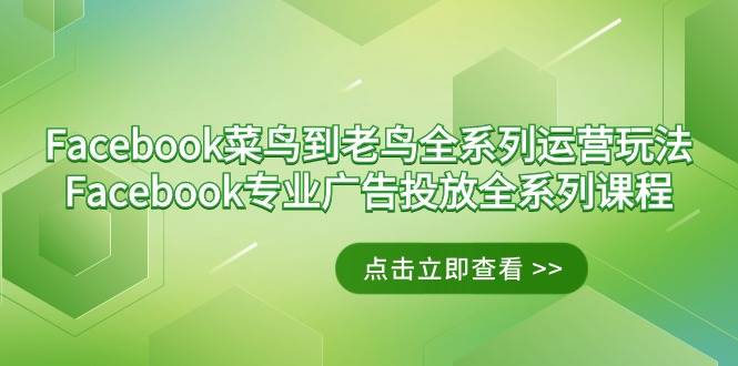 （9064期）Facebook-菜鸟到老鸟全系列运营玩法+Facebook-专业广告投放全系列课程-云深网创社