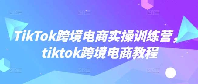 TikTok跨境电商实操训练营，tiktok跨境电商教程-云深网创社