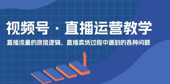 （11687期）视频号 直播运营教学：直播流量的底层逻辑，直播卖货过程中遇到的各种问题-云深网创社
