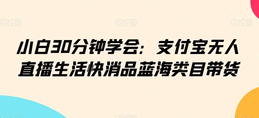小白30分钟学会：支付宝无人直播生活快消品蓝海类目带货【揭秘】-云深网创社