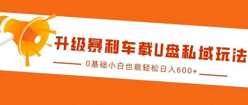 升级暴利车载U盘私域玩法，0基础小白也能轻松日入多张【揭秘】-云深网创社