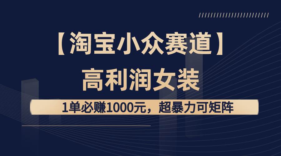（8608期）【淘宝小众赛道】高利润女装：1单必赚1000元，超暴力可矩阵-云深网创社