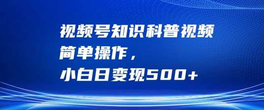 视频号知识科普视频，简单操作，小白日变现500+【揭秘】-云深网创社