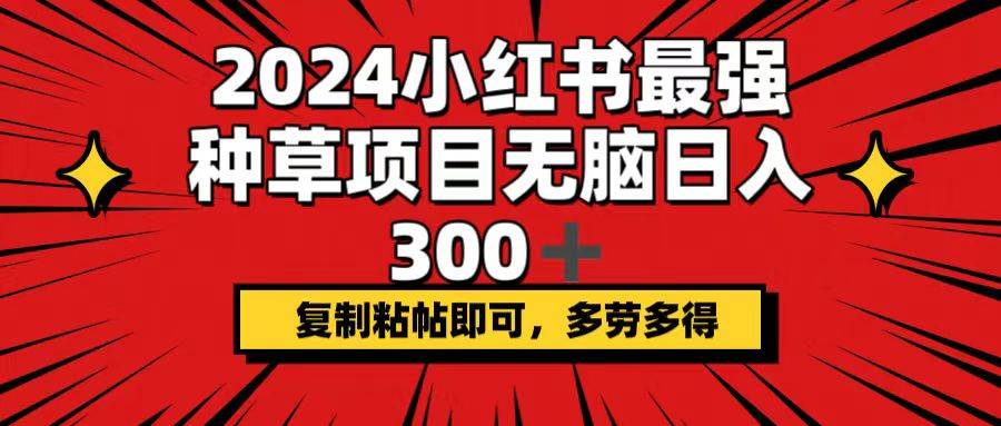 （12336期）2024小红书最强种草项目，无脑日入300+，复制粘帖即可，多劳多得-云深网创社