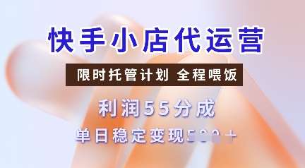 快手小店代运营，限时托管计划，收益55分，单日稳定变现多张【揭秘】-云深网创社