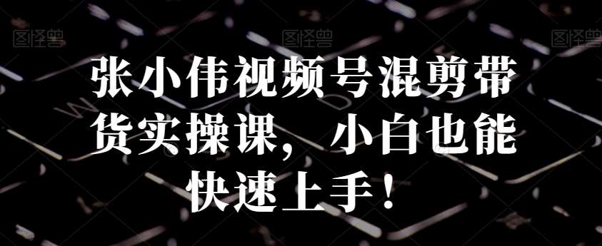 张小伟视频号混剪带货实操课，小白也能快速上手！-云深网创社