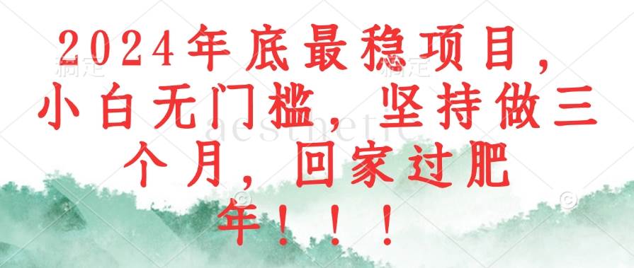 （12970期）2024年底最稳项目，小白无门槛，坚持做三个月，回家过肥年！！！-云深网创社
