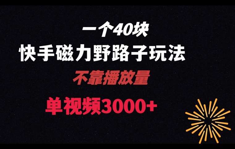 一个40块，快手联合美团磁力新玩法，无视机制野路子玩法，单视频收益4位数【揭秘】-云深网创社