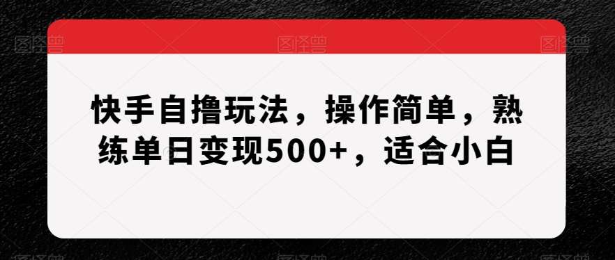 快手自撸玩法，操作简单，熟练单日变现500+，适合小白【揭秘】-云深网创社
