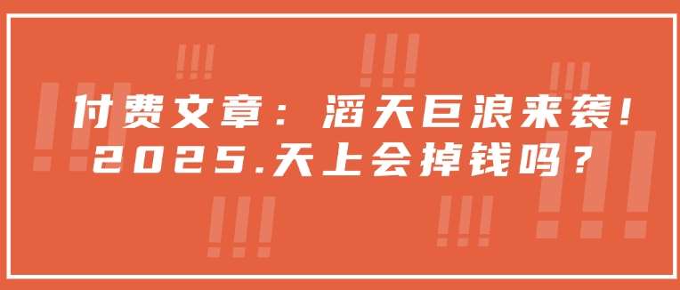 付费文章：滔天巨浪来袭！2025天上会掉钱吗？-云深网创社