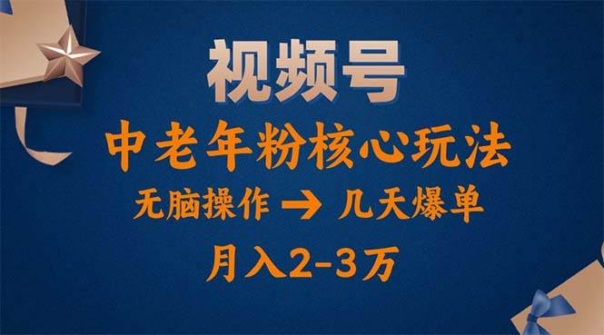 （11288期）视频号火爆玩法，高端中老年粉核心打法，无脑操作，一天十分钟，月入两万-云深网创社