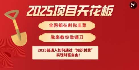 2025项目天花板普通人如何通过知识付费，实现财F自由【揭秘】-云深网创社