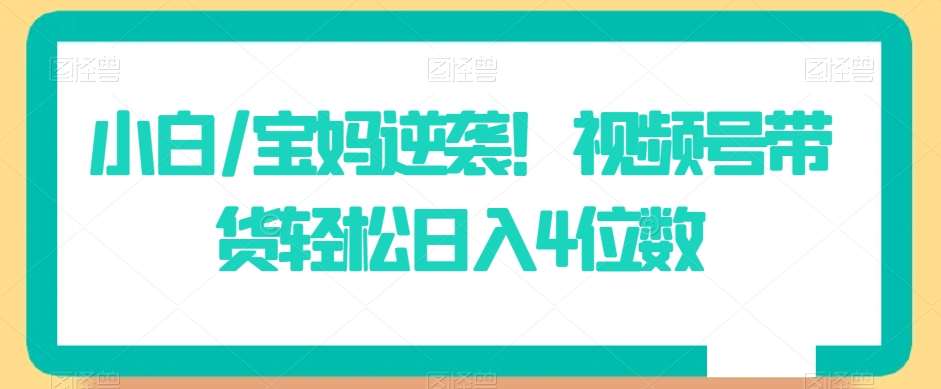 小白/宝妈逆袭！视频号带货轻松日入4位数【揭秘】-云深网创社