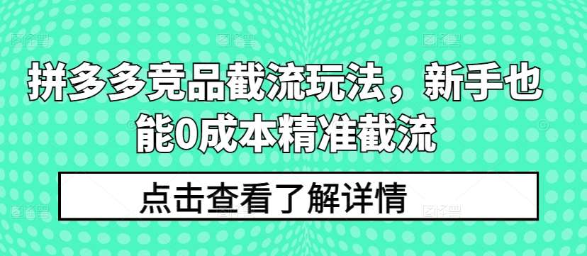 拼多多竞品截流玩法，新手也能0成本精准截流-云深网创社