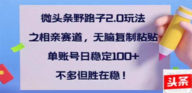 （14334期）微头条野路子2.0玩法之相亲赛道，无脑搬砖复制粘贴，单账号日稳定300+…-云深网创社