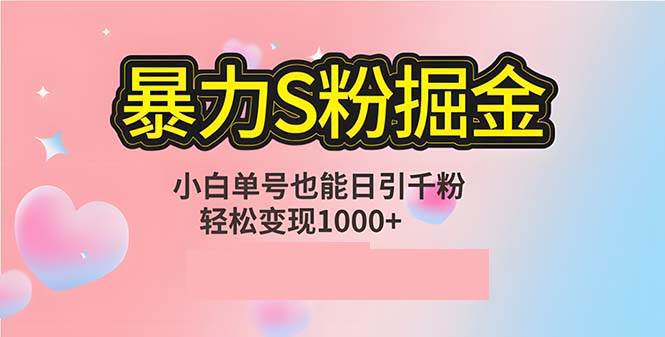 （12778期）单人单机日引千粉，变现1000+，S粉流量掘金计划攻略-云深网创社
