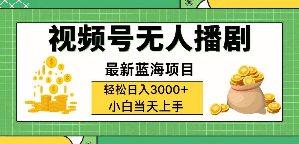 （12128期）视频号无人播剧，轻松日入3000+，最新蓝海项目，拉爆流量收益，多种变…-云深网创社