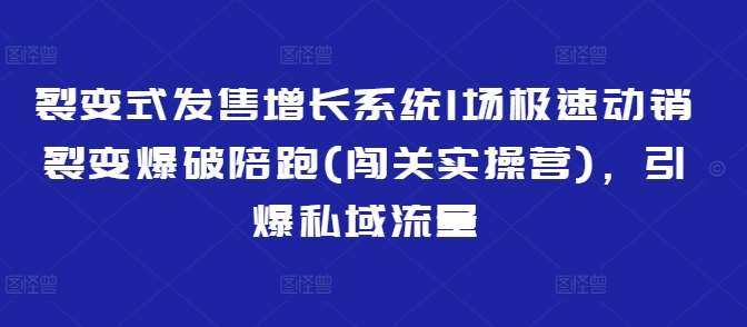 裂变式发售增长系统1场极速动销裂变爆破陪跑(闯关实操营)，引爆私域流量-云深网创社