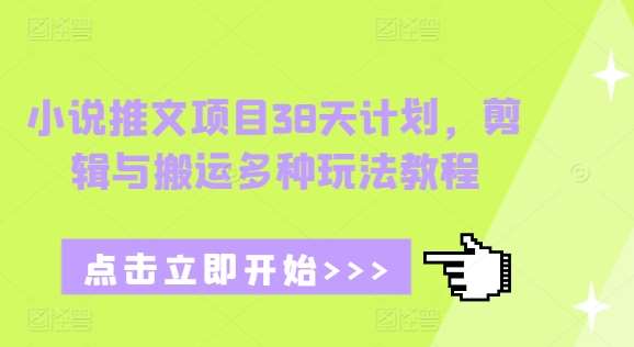 小说推文项目38天计划，剪辑与搬运多种玩法教程-云深网创社