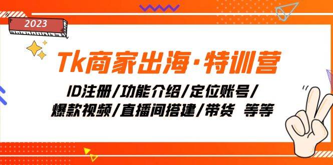 （7974期）Tk商家出海·特训营：ID注册/功能介绍/定位账号/爆款视频/直播间搭建/带货.-云深网创社