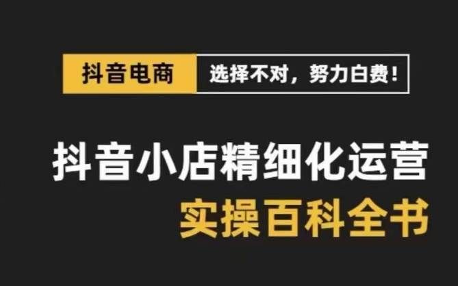 （8380期）抖音小店 精细化运营-百科全书，保姆级运营实战讲解（28节课）-云深网创社