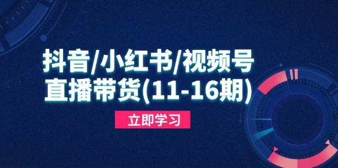 （14611期）抖音/小红书/视频号/直播带货(11-16期)，快速掌握平台规则，打造爆款内容-云深网创社