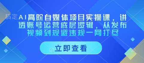 AI高阶自媒体项目实操课，讲透账号运营底层逻辑，从发布视频到规避违规一网打尽-云深网创社