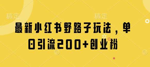 最新小红书野路子玩法，单日引流200+创业粉-云深网创社