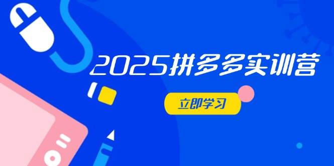 （14531期）2025拼多多实训营：深度剖析运营关键，助力电商人快速提升-云深网创社