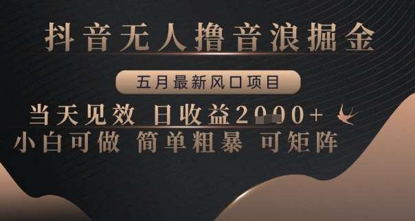 抖音无人撸音浪掘金，五月最新风口项目，当天见效，日收益多张，小白可做简单粗暴可矩阵【揭秘】-云深网创社