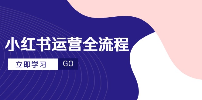 （14861期）小红书运营全流程，爆款选题文案，视频制作技巧，进阶达人宝典-云深网创社