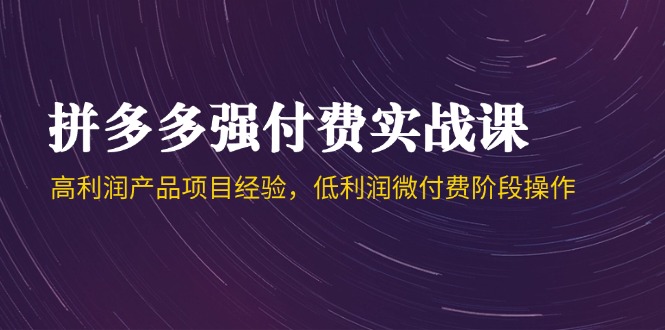 （14874期）拼多多强付费实战课-44期，高利润产品项目经验，低利润微付费阶段操作-云深网创社