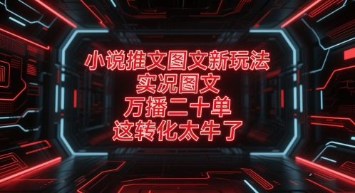 小说推文图文新玩法，实况图文，万播二十单，这转化太牛了！-云深网创社